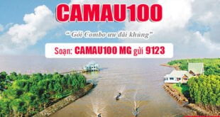 Đăng ký gói Camau100 Viettel bằng tin nhắn dễ dàng