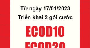 Từ 17/01/2023 Viettel triển khai lại 2 gói ECOD10 và ECOD20